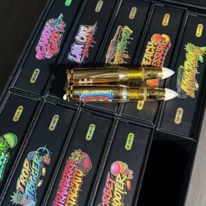 hollowtips bullet disposable